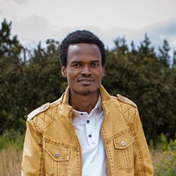 LINO GILYA