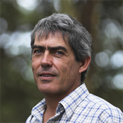 DAMIAN BELL